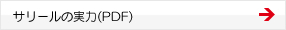 サリールの実力(PDF) 